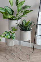 Plantenpotset Essence