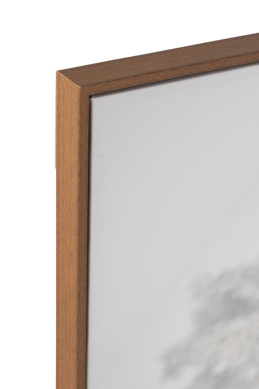 J-Line Wanddecoratie Jak Landschap Hout/Polyresin Wit/Bruin