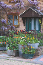 Bloemen in potten