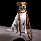 Amici - Elegante ronde riem voor modebewuste hondenliefhebbers