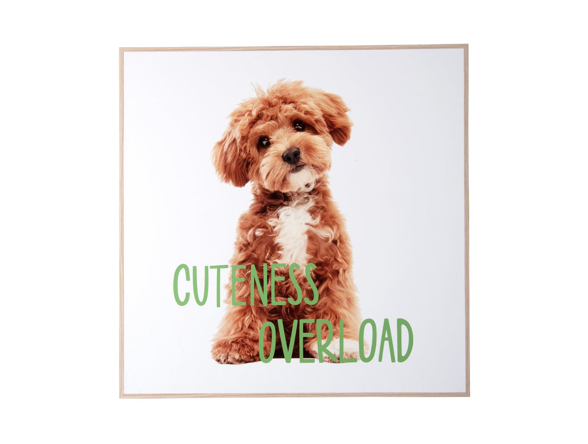 Wanddecoratie Puppy schattigheid overbelasting