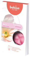 True Scents geurchips pak 6 Magnolia