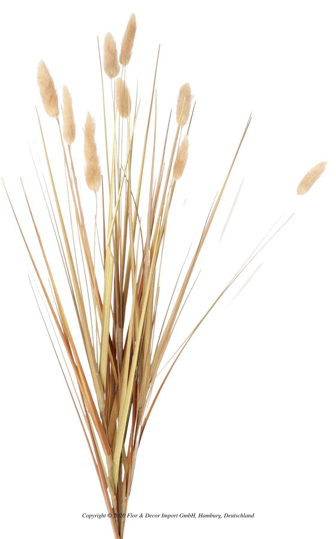 Lagurus tak natuur 4st 70cm beige
