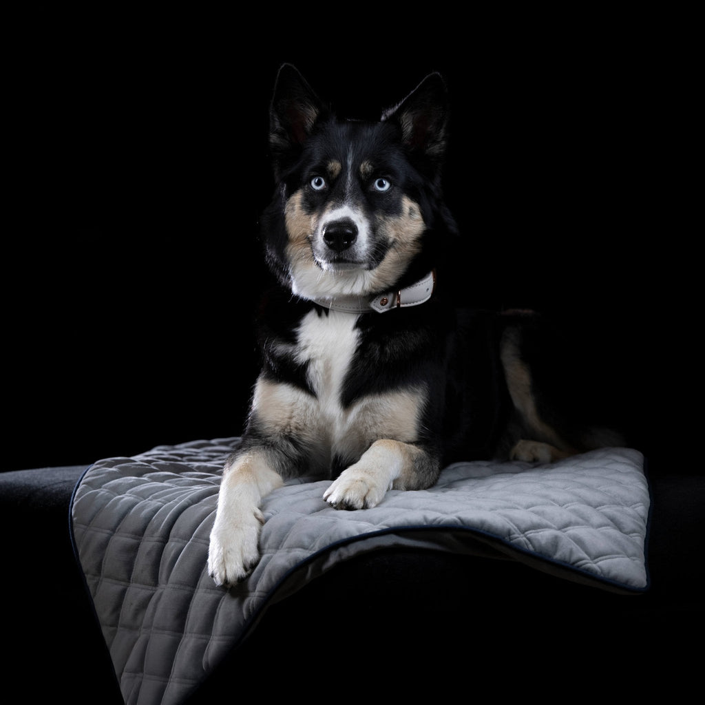 Oxford fluwelen deken voor honden