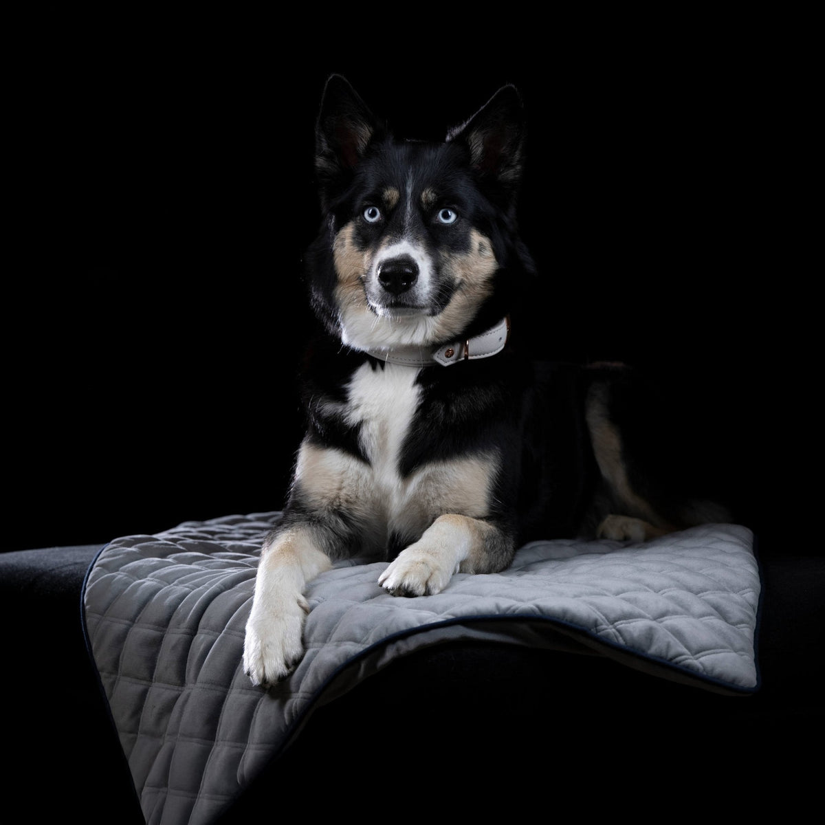 Oxford fluwelen deken voor honden