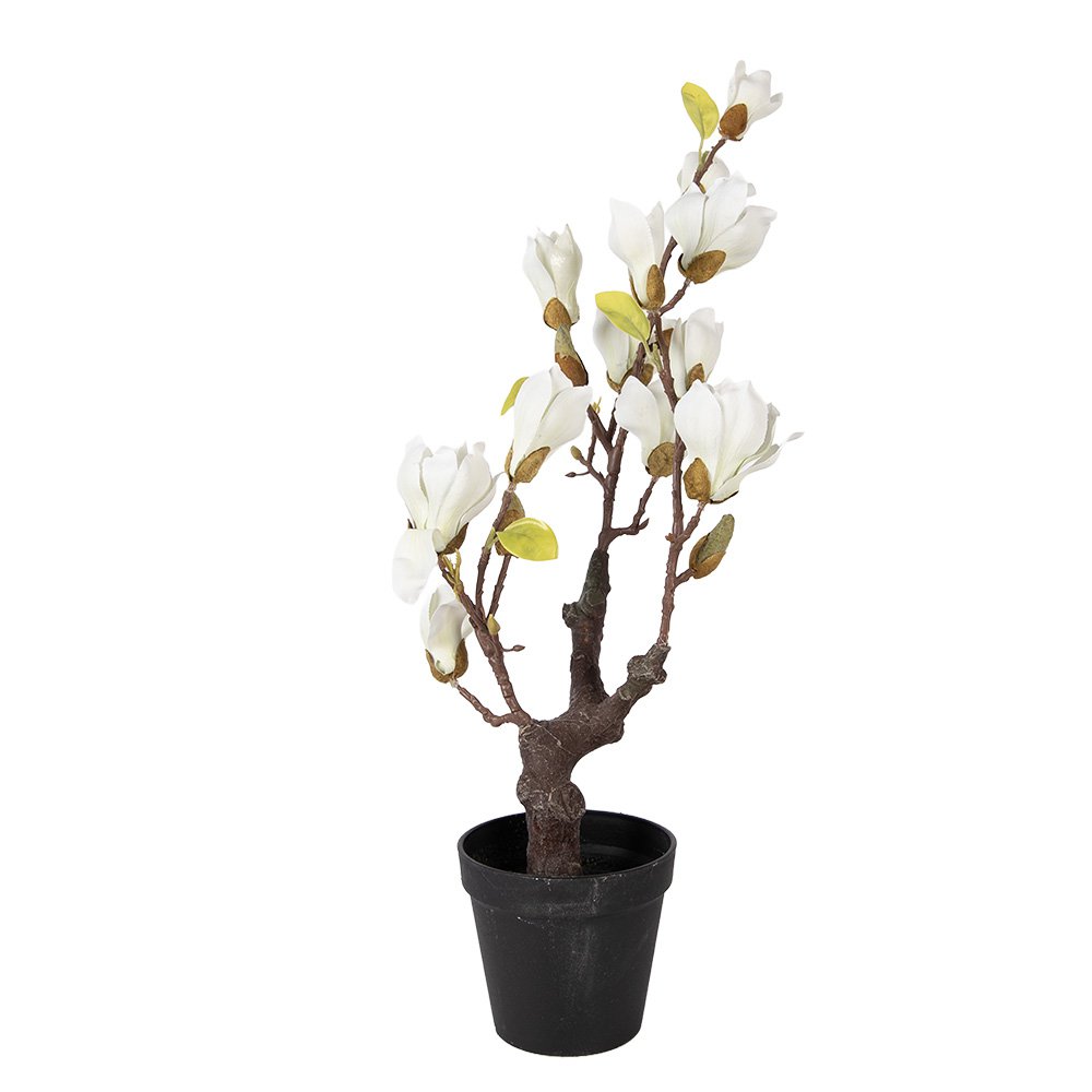 Kunstplant Magnolia 16x14x60 cm Wit Kunststof