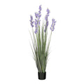 Gras campanula h150xd40cm