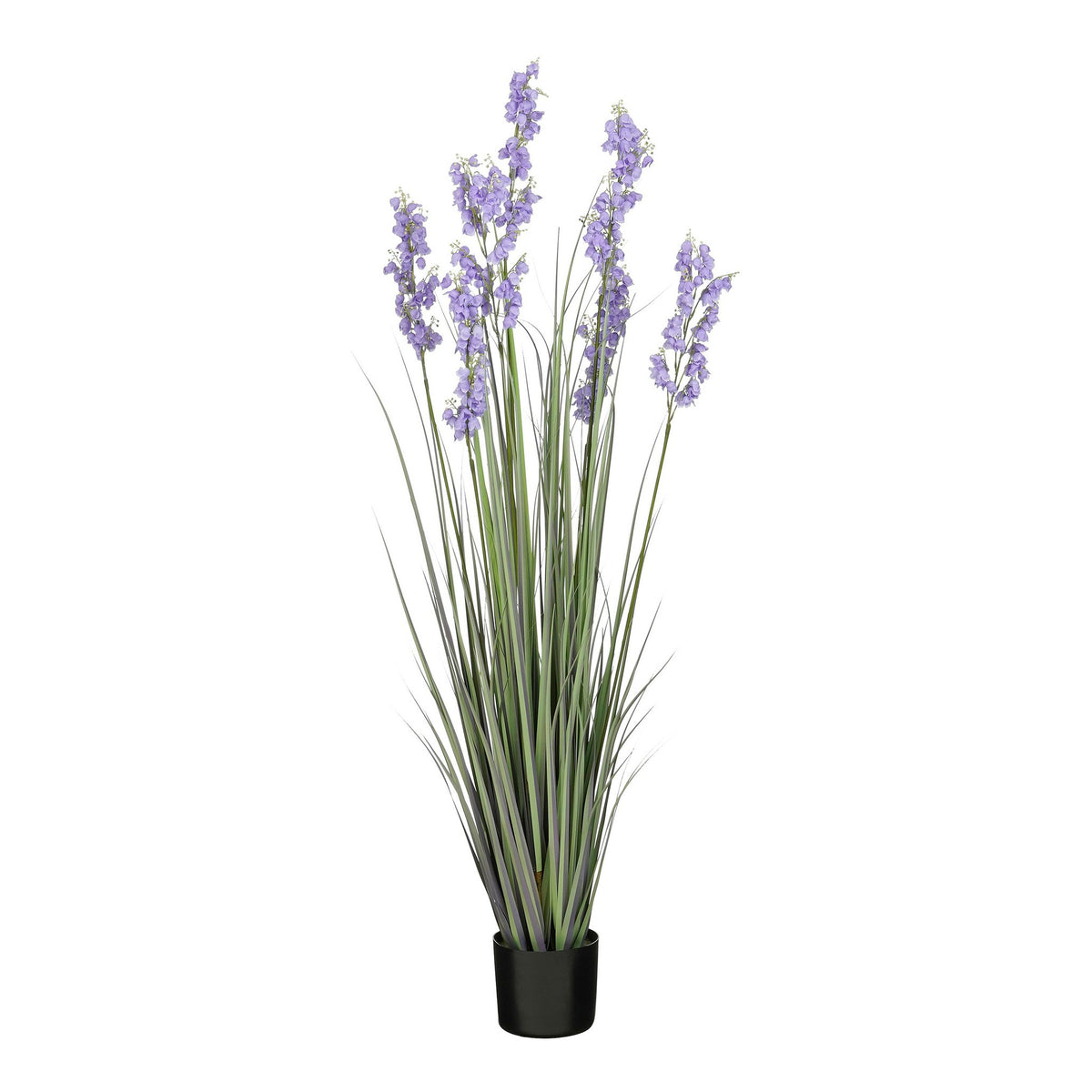 Gras campanula h150xd40cm