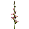 Kunstbloem Roze Kunststof