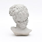 Witte David Bust Sculpture Michelangelo Geïnspireerd Klassiek Standbeeld voor Home Decor
