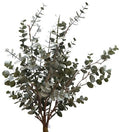 Eucalyptusbundel 48cm groen