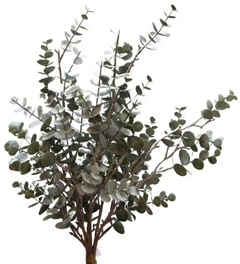 Eucalyptusbundel 48cm groen