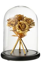 J-Line decoratie Stolp Roos - glas - goud/zwart - L