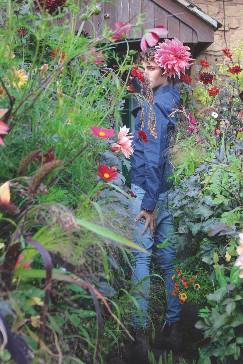 Bloemen in potten