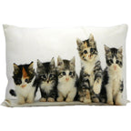 Canvas kussen kittens 35x50cm