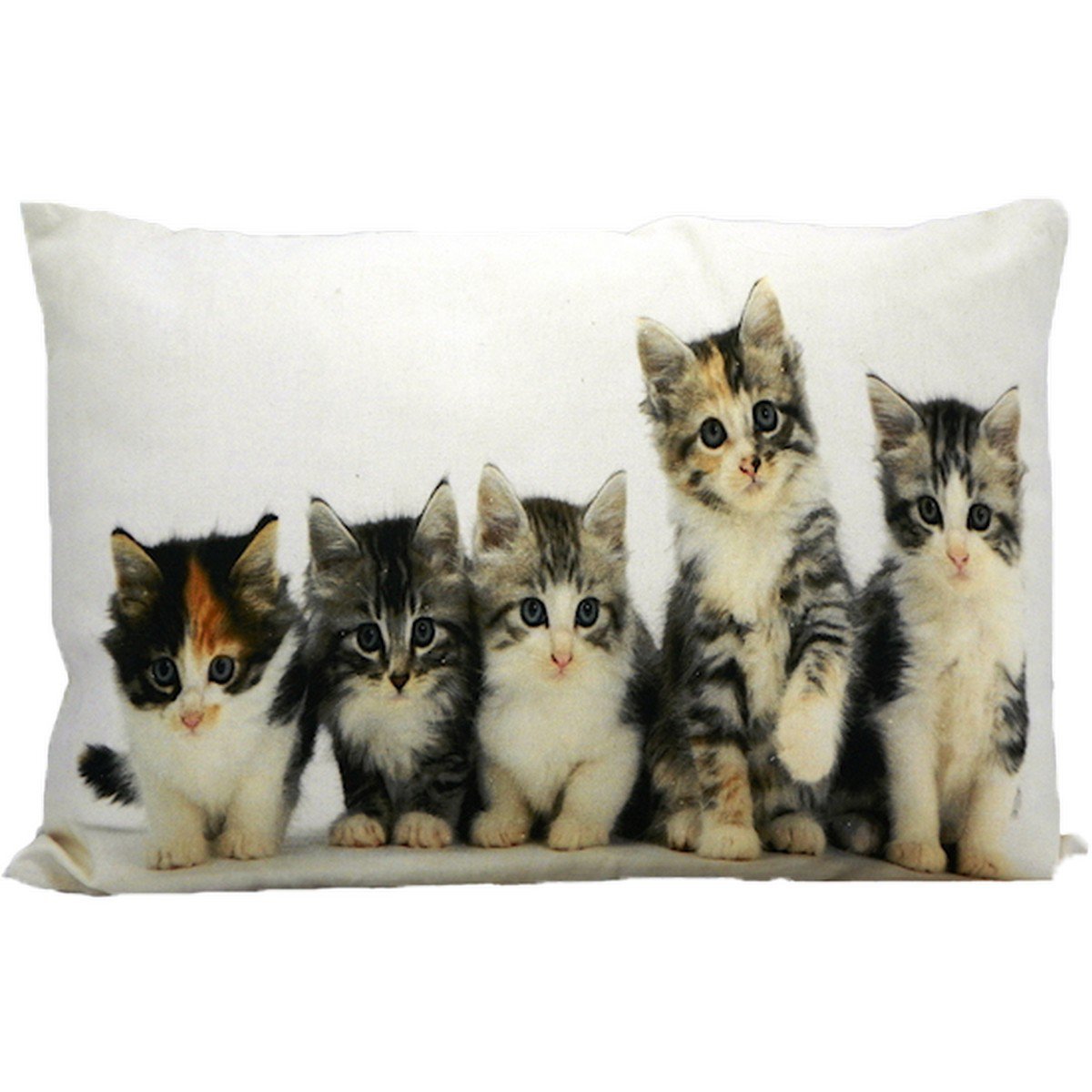 Canvas kussen kittens 35x50cm