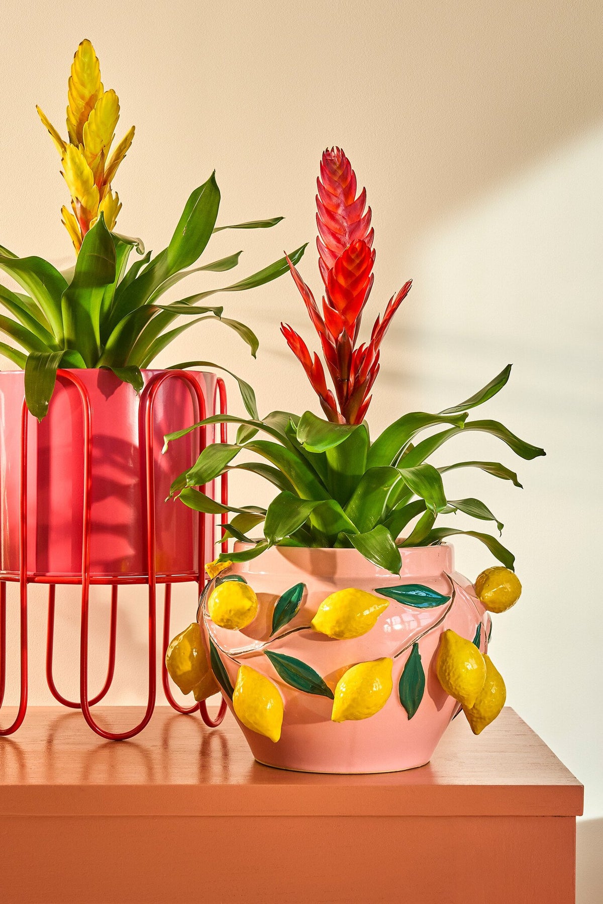 Melika pot l.roze