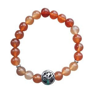 Dames armband Agaat 8 mm met Tree of life kraal