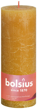 Shine rustiekkaars 190/68 Honeycomb Yellow