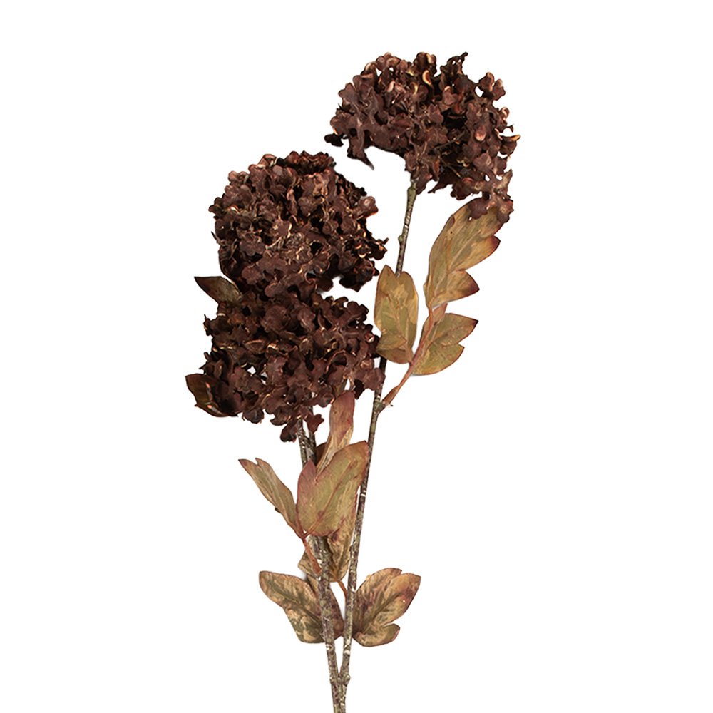 Kunstbloem 10x8x76 cm Bruin Kunststof