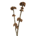 Kunstbloem 6x6x58 cm Bruin Kunststof
