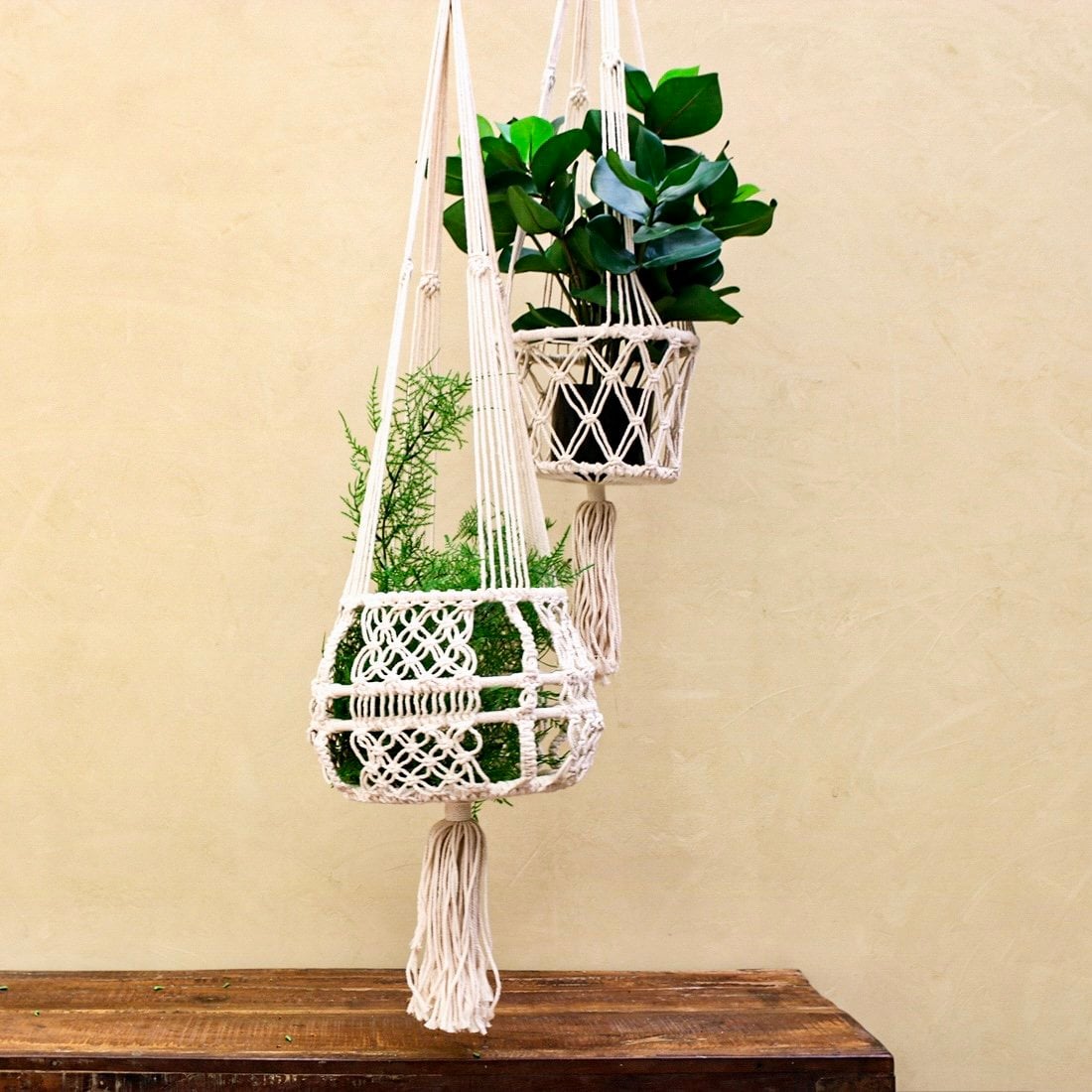 Macrame plant hanger extra large