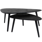 Salontafel Jamal - Zwart Mangohout - Set van 2
