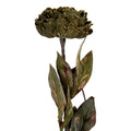 Kunstbloem 10x10x65 cm Groen Kunststof