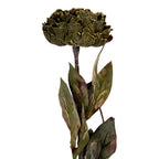 Kunstbloem 10x10x65 cm Groen Kunststof