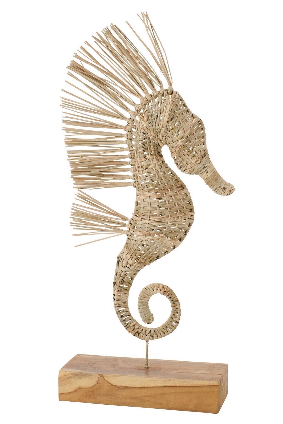 J-Line decoratie Zeepaard Op Voet - gras - naturel - L
