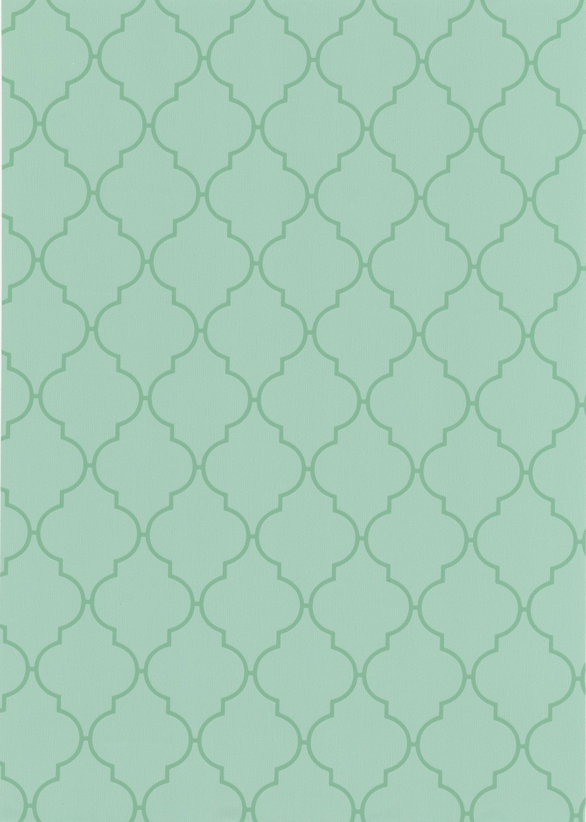 Dunya Zelfklevende Folie Mini rol groen 45cmx2mtr