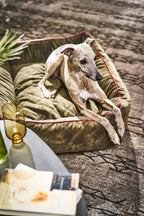 Oxford I Klassieke Hundebett
