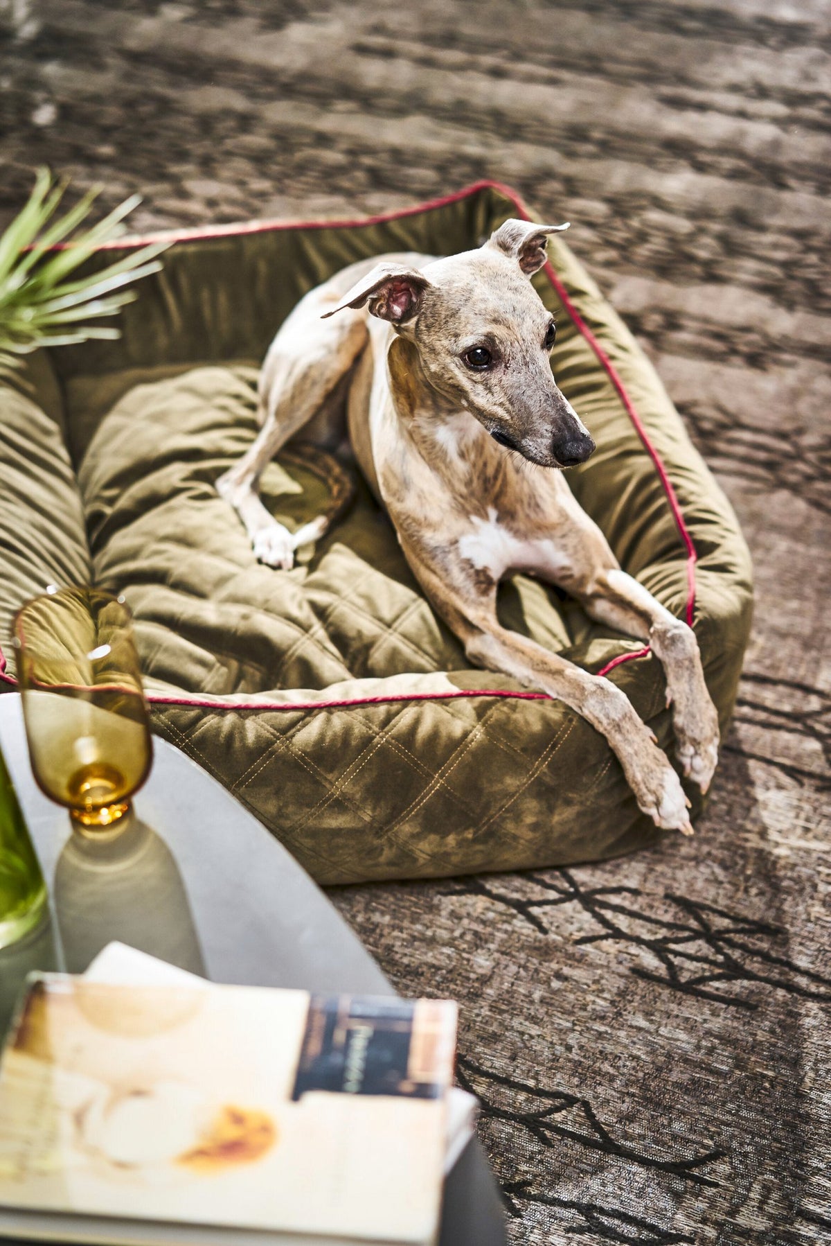 Oxford I Klassieke Hundebett