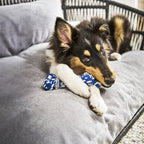 Bonnie Bone - cultspeelgoed voor honden