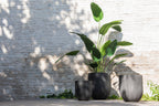 J-Line Strelitzia Plastiek Groen Medium
