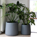 Plantenpot - Portland grey