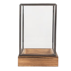 Decoratie Kweekkastje 12x12x19 cm Transparant Glas