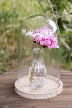 Vaas Ø 7x14 cm Glas Glazen Vaas