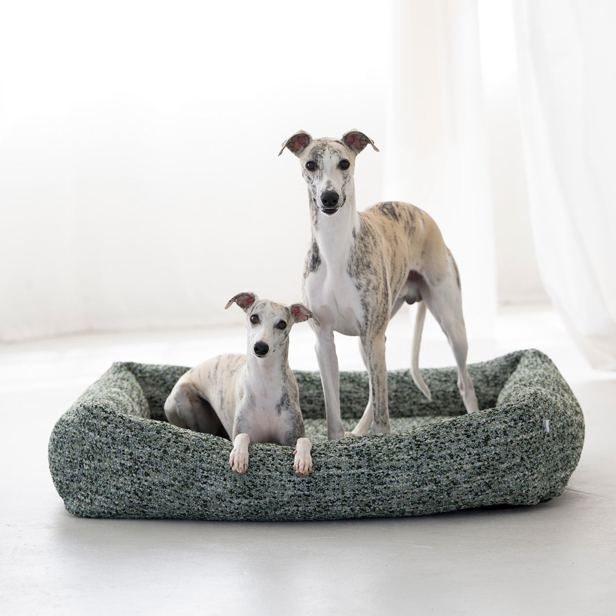 Siena Ortho | Premium orthopedisch hondenbed