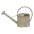 Decoratie Gieter 50x16x33 cm Grijs Groen Metaal Plantengieter