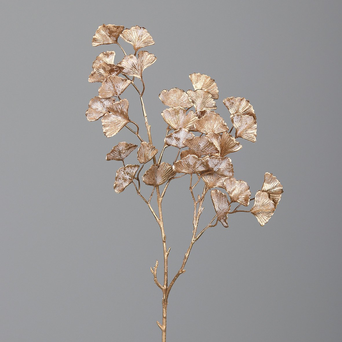 Ginkgo tak 57cm goud