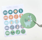 Stickervel A5 | birthday boys stickers