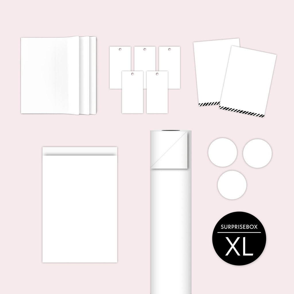Cadeauverpakkingen Surprise Box XL