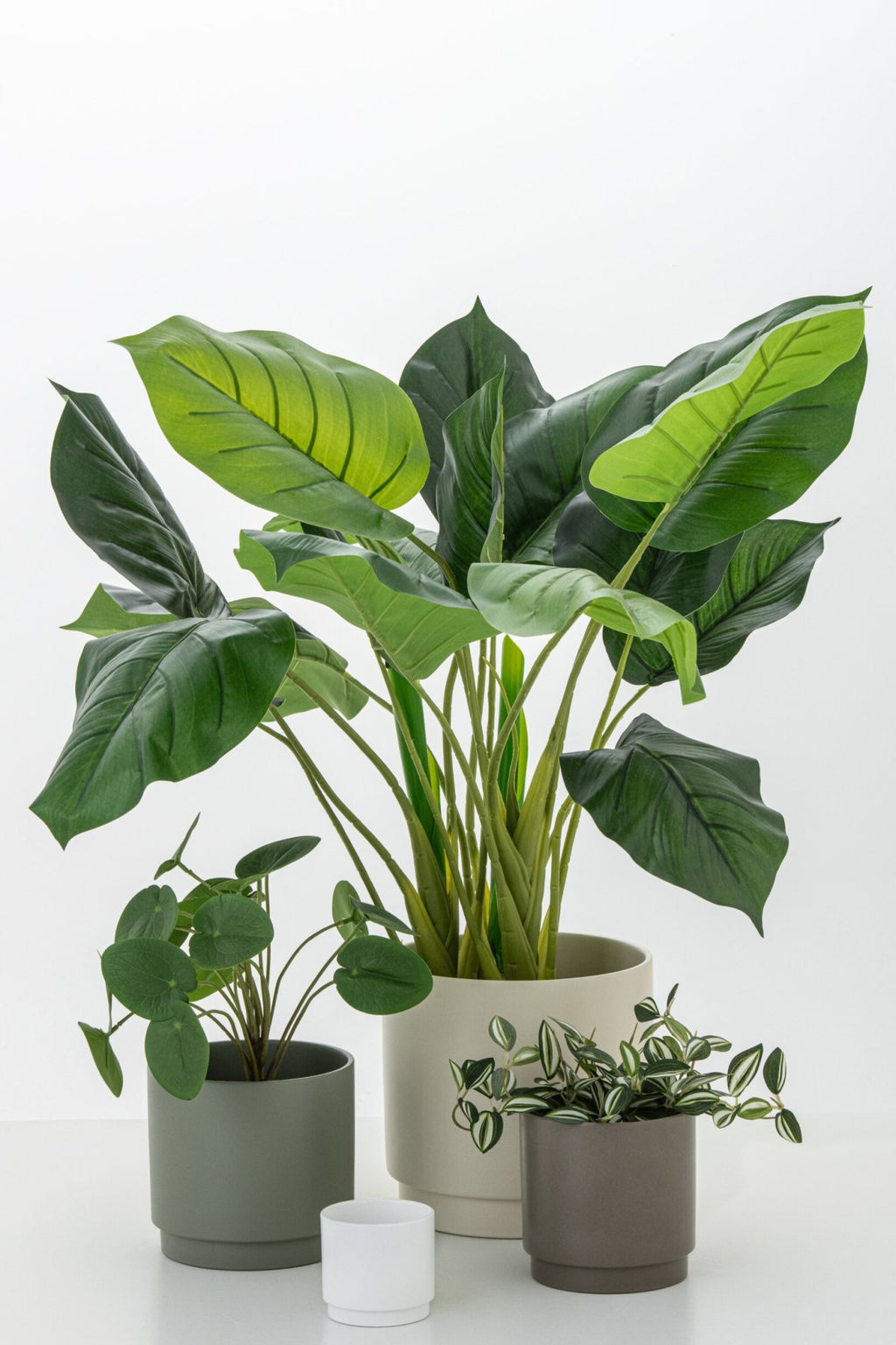 J-Line Pothos Plant In Pot Plastiek Groen