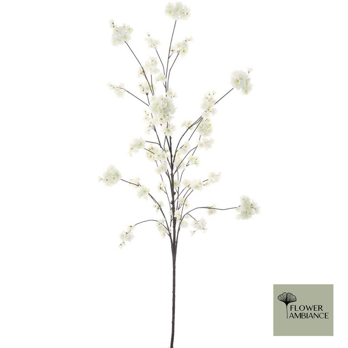 Prunus Malaga spuitcrème 195cm
