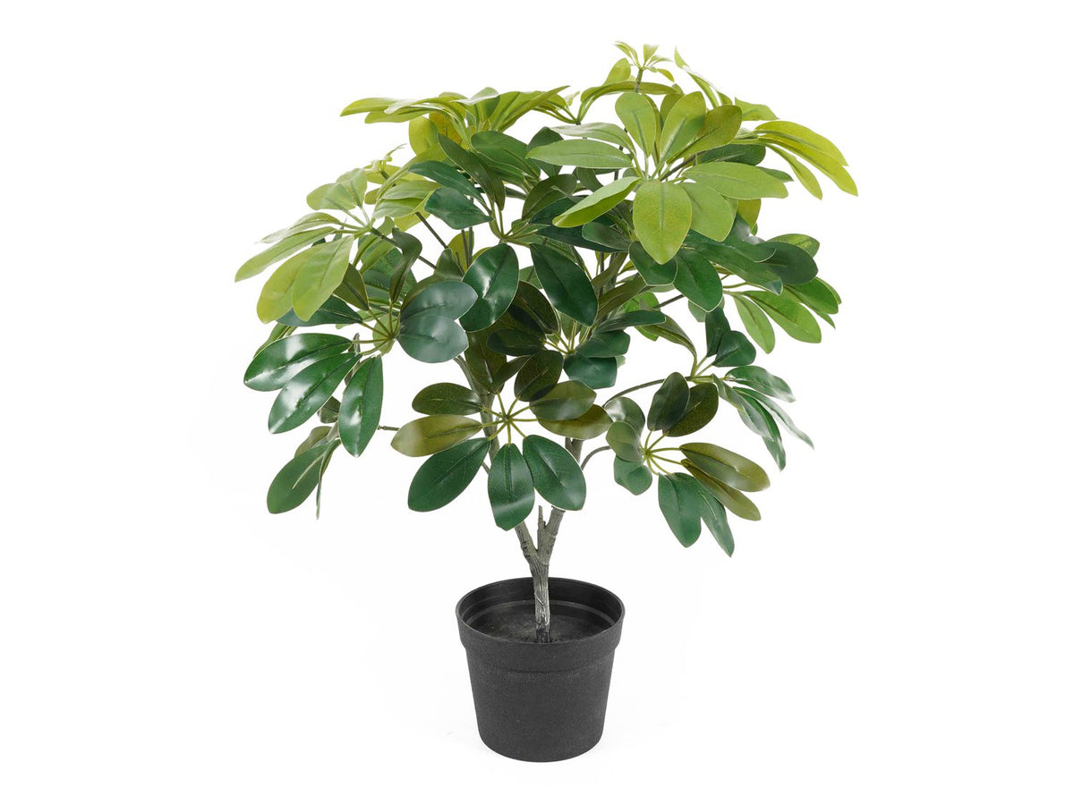 Kunstplant Schefflera