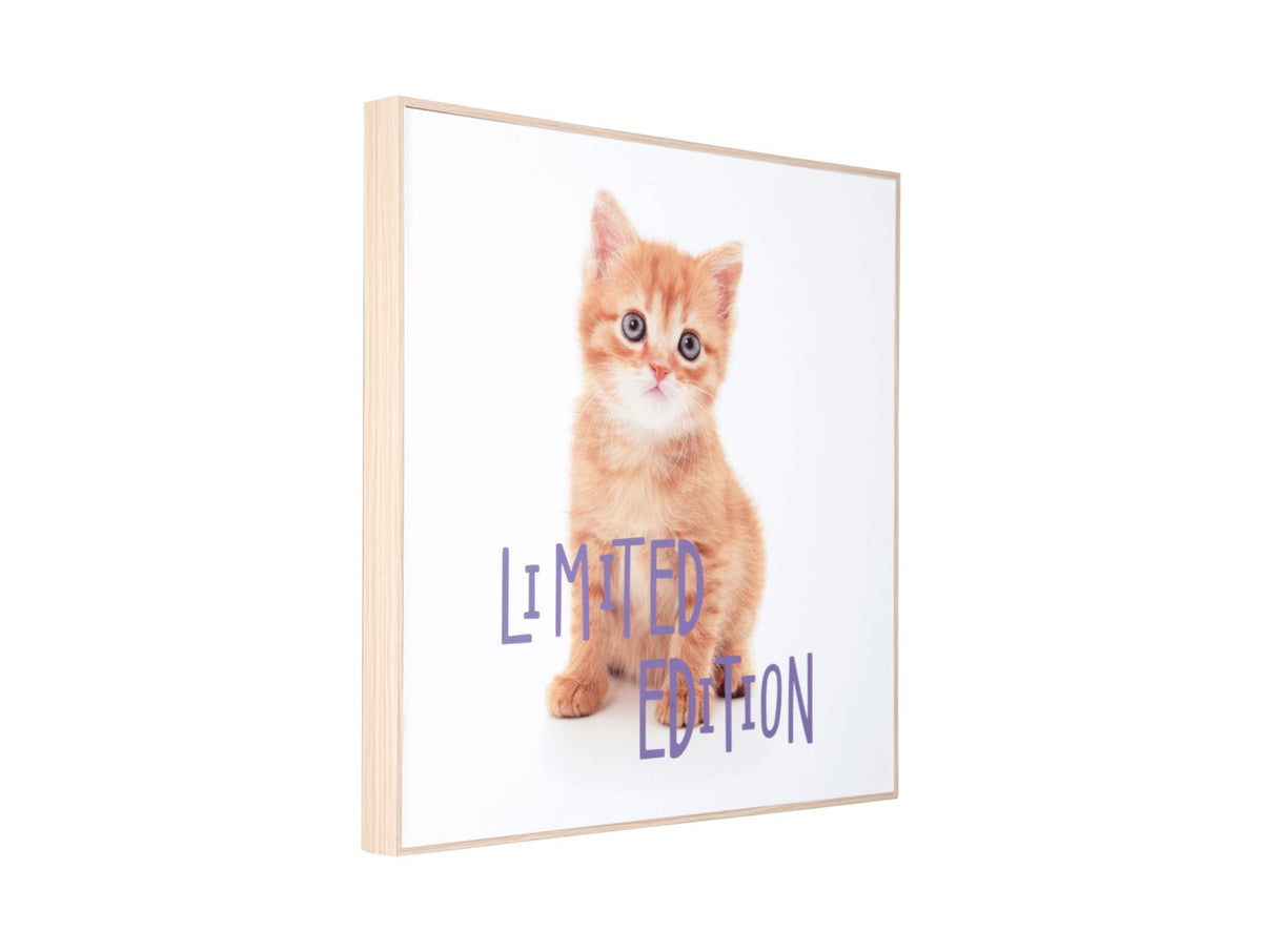 Wandkunst Kitten Limited Edition