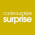 Cadeauzakjes pakket surprise