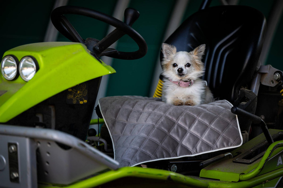 Oxford fluwelen deken voor honden