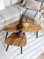 Salontafel Jamal - Mangohout - Set van 2